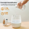 USB Dual Nozzle Silent Digital Humidifier - Image 3