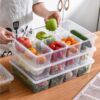 6 Portions Multipurpose Storage Box - Image 3